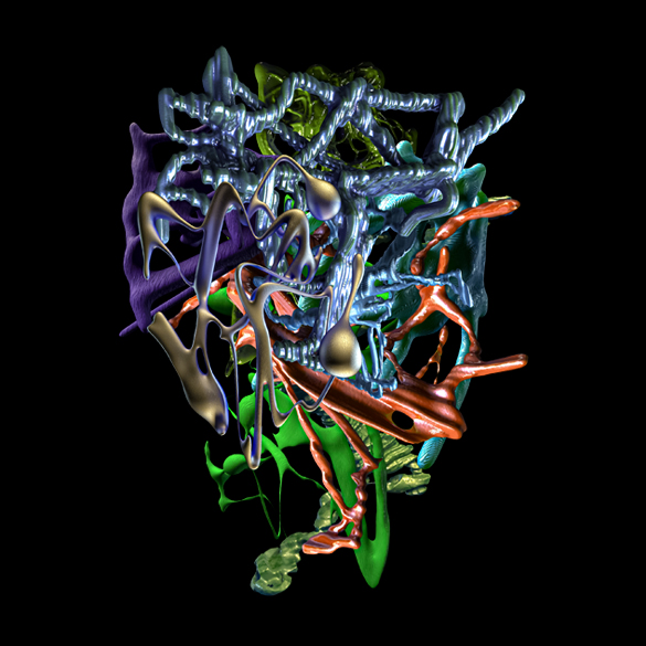 trm-organic-shapes-meshes-edgar-medalla-edgargfx